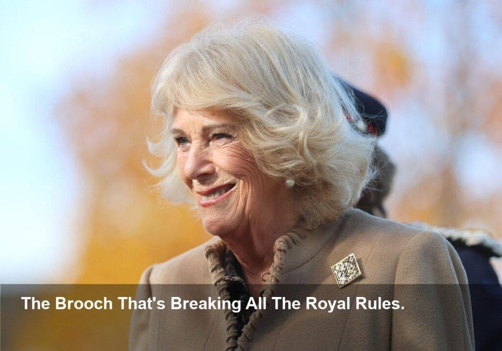 Camilla's Bold Italian Brooch Sparks Debate